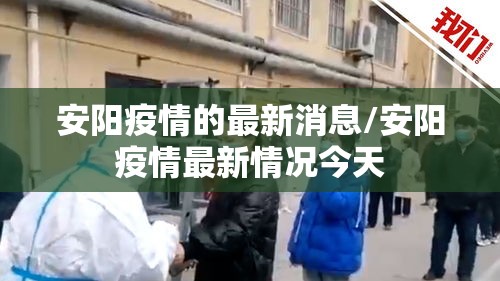 安阳疫情的最新消息/安阳疫情最新情况今天 安阳疫情的最新消息/安阳疫情最新情况今天