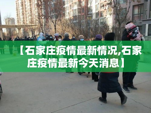 【石家庄疫情最新情况,石家庄疫情最新今天消息】