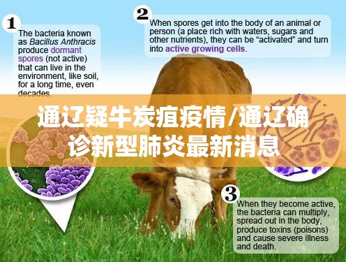 通辽疑牛炭疽疫情/通辽确诊新型肺炎最新消息