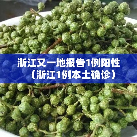 浙江又一地报告1例阳性（浙江1例本土确诊）