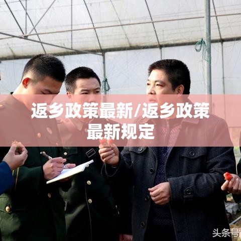 最新消息决战十三水开挂专用辅助器有开挂透视