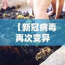 最新消息财神互动插件是真的吗详细分享步骤 最新消息财神互动插件是真的吗详细分享步骤