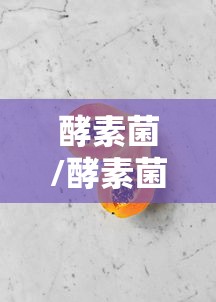 酵素菌/酵素菌肥料的使用方法