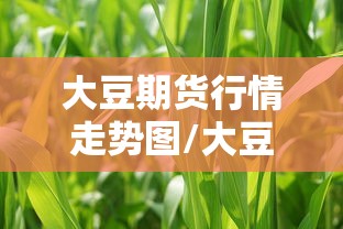 今日重大消息“海洋之心到底要怎么用挂”详细开挂步骤