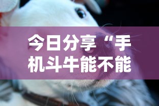 今日分享“手机斗牛能不能开挂”其实确实有挂