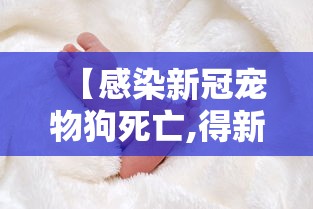 重大来袭牵手跑胡子有挂没开挂步骤方法 重大来袭牵手跑胡子有挂没开挂步骤方法