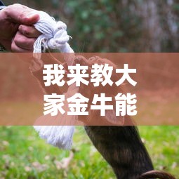 我来教教大家新时代黑科技玩家必备神器 我来教教大家新时代黑科技玩家必备神器