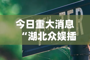 今日重大消息“湖北众娱插件是真的吗”可以开挂教程