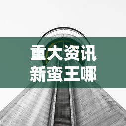 重大资讯新蛮王哪里有透视挂详细分享步骤