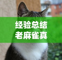 经验总结老麻雀真的有挂吗(其实有挂)