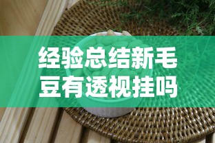 经验总结新毛豆有透视挂吗原来真有挂