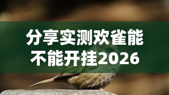 分享实测欢雀能不能开挂2026用挂