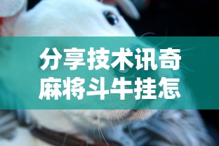 分享技术讯奇麻将斗牛挂怎么卖其实确实有挂 分享技术讯奇麻将斗牛挂怎么卖其实确实有挂