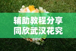 辅助教程分享同欣武汉花究竟有没有挂真的有挂 辅助教程分享同欣武汉花究竟有没有挂真的有挂