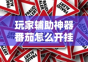 玩家辅助神器番茄怎么开挂是真的吗确实是有挂