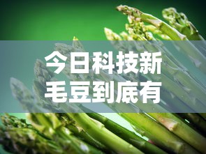今日科技新毛豆到底有挂吗其实有挂