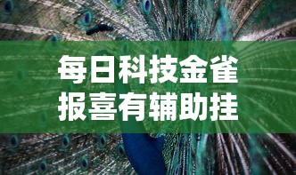 每日科技金雀报喜有辅助挂吗原来真有挂