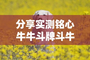 重大通报悠乐汇有挂吗的确有挂开挂方法