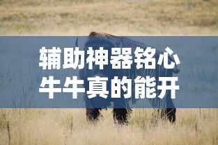 辅助神器铭心牛牛真的能开挂吗真的有挂