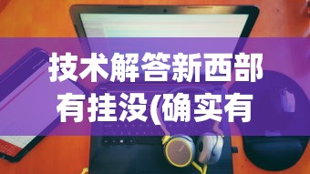 技术解答新西部有挂没(确实有挂) 技术解答新西部有挂没(确实有挂)