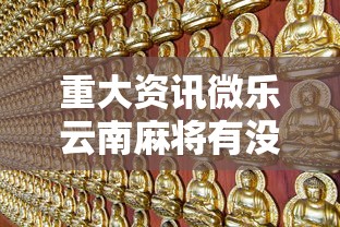 重大资讯微乐云南麻将有没有挂2026用挂