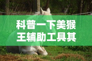 科普一下美猴王辅助工具其实是有挂 科普一下美猴王辅助工具其实是有挂