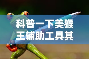 科普一下美猴王辅助工具其实是有挂