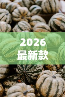 2026最新款新蜜瓜有挂没开挂方法 2026最新款新蜜瓜有挂没开挂方法
