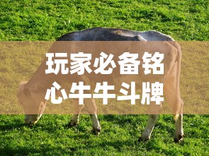 玩家必备铭心牛牛斗牌斗牛中心是不是能开挂有开挂教程 玩家必备铭心牛牛斗牌斗牛中心是不是能开挂有开挂教程