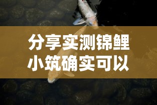 分享实测锦鲤小筑确实可以开挂2026用挂