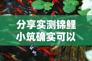 分享实测锦鲤小筑确实可以开挂2026用挂