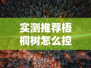 实测推荐梧桐树怎么控制输赢真的有挂