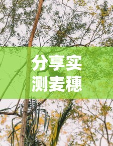 经验传递“棋悦跑胡子可不可以开挂”揭秘曝光猫腻