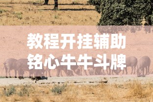 我来教大家“钱塘十三水到底真的有挂吗”开挂详细方法
