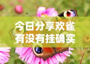 今日分享欢雀有没有挂确实真的有挂