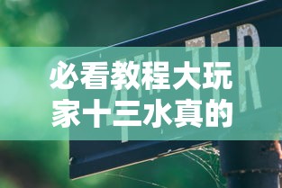 必看教程大玩家十三水真的有挂吗其实是有挂
