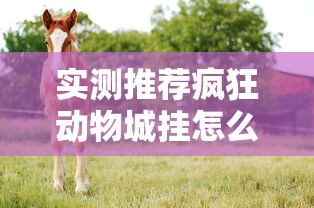 实测推荐疯狂动物城挂怎么开确实是有挂的