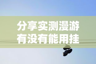 分享实测漫游有没有能用挂呢其实确实有挂 分享实测漫游有没有能用挂呢其实确实有挂