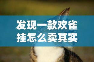 发现一款欢雀挂怎么卖其实有挂 发现一款欢雀挂怎么卖其实有挂