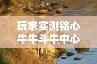 技术解答“狂欢夏威夷有透视软件吗”详细开挂方法