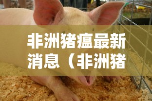 技术解答“狂欢夏威夷有透视软件吗	”详细开挂方法