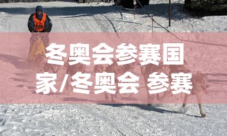 冬奥会参赛国家/冬奥会 参赛国家