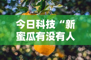 今日科技“新蜜瓜有没有人有挂”详细开挂方法