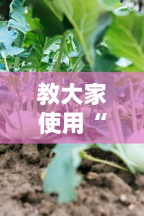 教大家使用“新毛豆有挂吗专用神器	”真的有挂