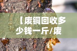 科技通报“讯奇麻将斗牛有透视挂吗”确实真的有挂