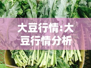 玩家必看“乐总统有没有透视挂可以辅助