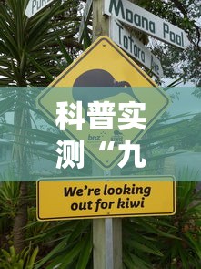 科普实测“九九牌游十三水有没有挂的确有挂	”确实能开挂 