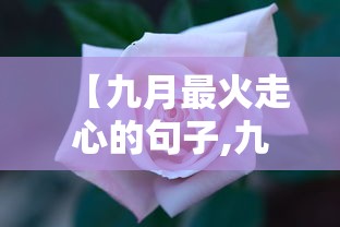 【九月最火走心的句子,九月暖心】