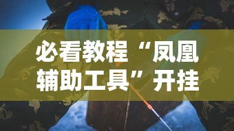 必看教程“凤凰辅助工具”开挂神器