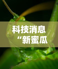 科技消息“扣点麻将究竟能不能开挂其实可以装挂